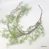 Helecho Colgante Estilo Bosque Techo Pared Verde Planta Decoración Enredadera Tipo Hilo Colgante de Helecho