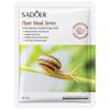 Máscara de Argila Purificante Máscara Purificante Argila Máscara de Frutas Vegetais Hidratante Hidratante Cor da Pele Cuidado Facial Cuidados com a Pele