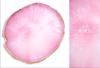 Paleta de nail art Gel de esmalte Fototerapia Stinting manchado Ferramentas de nail art Placa de vidro de cristal Paleta