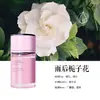 Fragrância de Flor de Gardênia em Estoque para Carro, Remoção de Odores, Fragrância de Longa Duração, Decoração de Alto Padrão, Perfume para Carro, Venda Direta de Fábrica