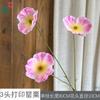 26 Años de Materiales de Flores Rosadas, Diseño de Rendimiento Comercial, Flores Falsas para Sesión de Fotos de Boda Romántica, Flores de Seda para Decoración Suave