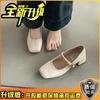 Sapatos Mary Jane Retrô Franceses para Mulheres 2025 Primavera Novo Estilo Bico Quadrado Boca Rasa Salto Médio Grosso com Saia Sapatos de Boca Rasa
