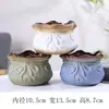 Maceta para pulgar suculenta mini mini maceta para pulgar maceta de cerámica para flores suculentas planta creativa flor pequeña Ma Long mesa Mai Tai Bao