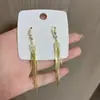 Design de Orelha Gancho Senso de Design de Nicho Brincos Emagrecedores de Luxo Slim Elegantes Femininos Super Fada Elegante Senso de Alta Qualidade Zircônia Brinco de Franja de Trigo