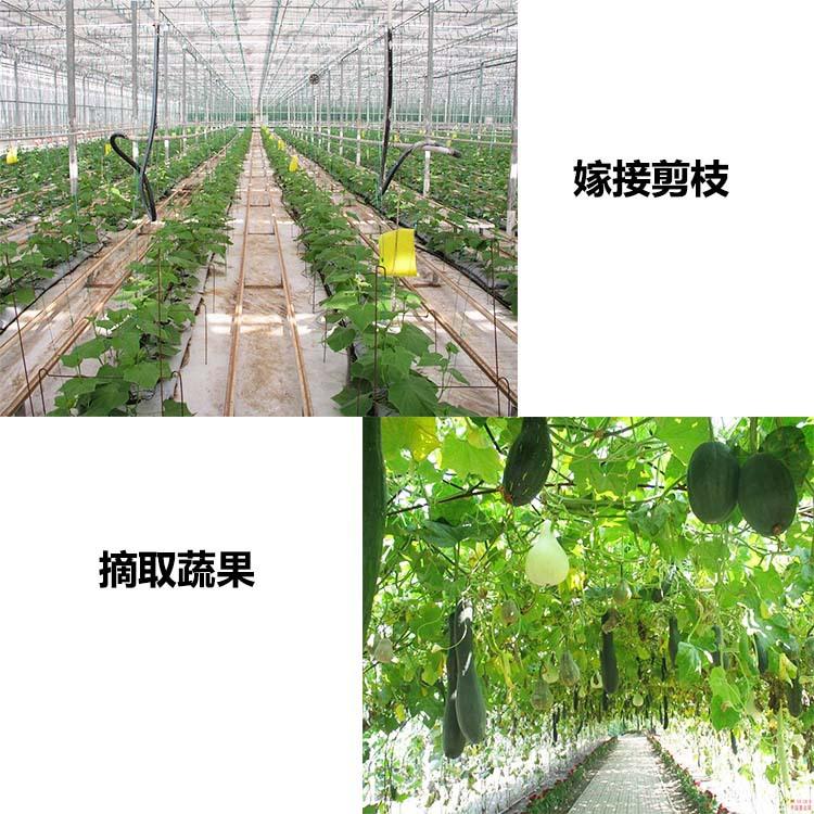 TB2mJc7XPvmJKJjy0FlXXXGdFXa_!!