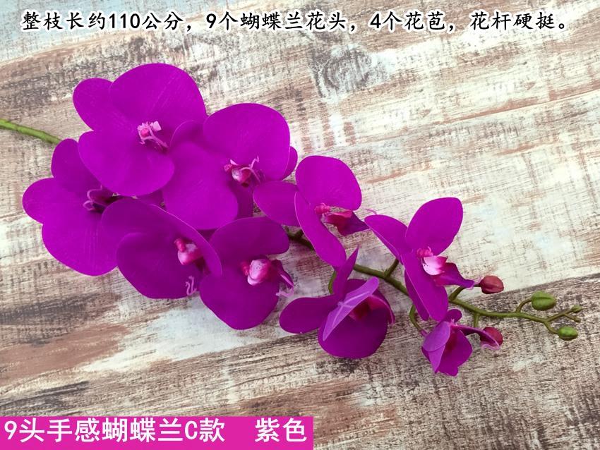 1-1_副本_副本