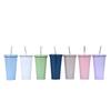 Nuevo Vaso Termo de Acero Inoxidable 304 con Tubo de Succión, Vaso Pequeño Transparente Nuevo de Alto Color, Vaso Termo para el Hogar de Gran Capacidad, Color Sólido, Vaso para Coche