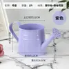 Regalo de agradecimiento por el Día del Maestro: regadera de hierro para jardineros, adecuada para regar, floristería, ramo de flores, arreglo floral, decoración floral