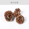 Materiales de flores secas ramas bellotas piñas algodón vainas de loto guardería hecho a mano rodajas de vela de aromaterapia decoración tiro