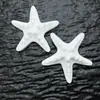 Accesorios de resina de estrella de mar grandes transfronterizos DIY funda de teléfono móvil agujero zapatos pasador de pelo accesorios para el cabello material al por mayor