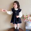 Vestido de Mezclilla para Niña Primavera y Otoño 2025 Nuevo Bebé Estilo Princesa Fragancia Delicada Conjunto de Dos Piezas Estilo Infantil