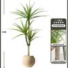 Planta Verde de Simulación Madera Milenaria Planta Falsa Lujo Ligero de Gama Alta Decoración de Interiores Árbol Sala de Estar Grande en Maceta Adornos de Piso