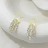 Brincos Vazados de Estrela Estilo Ins Europeu e Americano Feminino Moda Coreia do Sul Brincos Longos de Franja de Estrela de Cinco Pontas Orelha de Cyber Celebridade Tendência