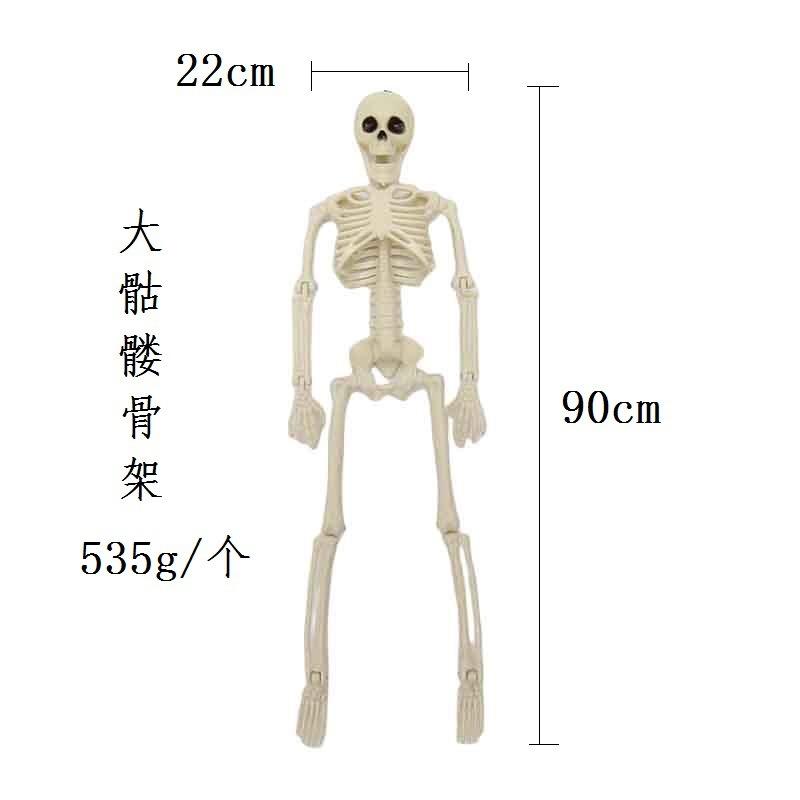 骷髅骨架 (11).jpg