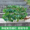 Venta directa de fábrica 40cm 70cm 120cm valla telescópica valla refugio personalizado valla decorativa verde artificial