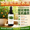Folhas que não caem, longo período de floração, solução nutritiva especial para Planta Peixe Dourado, fertilizante foliar para mudas fortes, fertilizante para folhas para promover a floração, fertilizante anti-queda de folhas