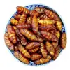 Pupae de Bicho da Seda Crocante Especial de Zhoucun, Shandong, Picante e Crocante, Sabor Cinco Especiarias, Embalado Pronto para Comer, Apetitoso, Frete Grátis