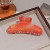 Pinza para el Cabello de Color Gelatina, Pinza Retro Dulce para Cola de Caballo Alta para Niñas, Accesorio para el Cabello de Alta Gama, Pinza de Tiburón