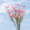 5 Margaridas Pequenas Flores Artificiais Flores Falsas Decoração de Adereços para Casa Casamento Fotografia Flores de Seda Flores em Promoção Especial