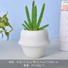 Vaso de Flor de Cerâmica Criativo Simples Branco Vaso de Porcelana Branca de Dehua Vaso Mini para Suculenta Orquídea Phalaenopsis Pequeno Vaso Decorativo