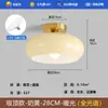 Luminária de Teto Criativa Minimalista Casa Pacote Meio e Antigo LED Caqui Varanda Corredor