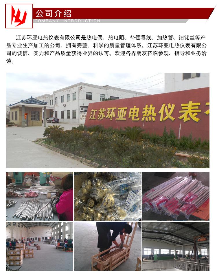 耐磨热电偶_16.jpg
