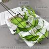Folhas de pássaro louco Folhas de taro Alocum Cerimônias de casamento Auditório de casamento Decoração floral suave Simulação Planta verde Folhas de vitrine de shopping