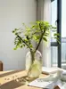 Serviço de Dropshipping para Árvores Bonsai de Folha Pequena de Ligustrum Hidropônico, Plantas Ornamentais Perenes com Folhagem e Caules, Galhos e Flores Recém-Cortados