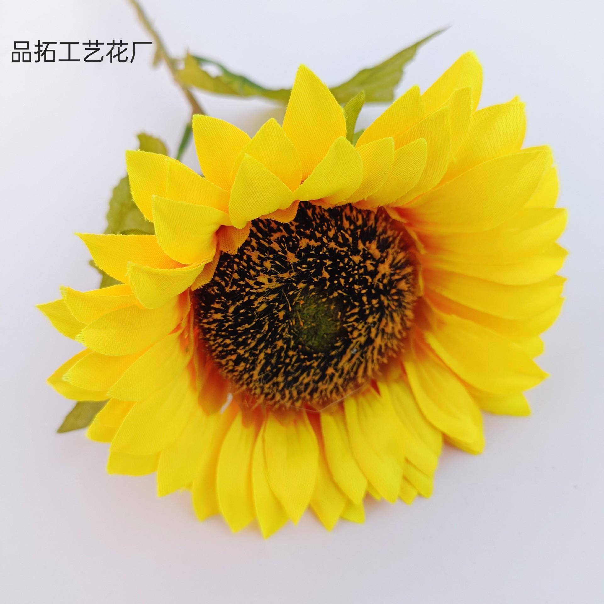 981f2272d236856b76134b368b65c7