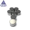 Suministro de 1913 1616 Minería de Petróleo Diamante Carburo Pieza Compuesta Broca Pdc Broca