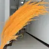Grama Barba de Dragão Eterna Pendurada Arroz Decoração de Casa Pendurada na Parede Planta de Rattan Decoração de Casamento Grama Aspargo Grama Pena Grama Barba de Dragão