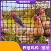 Malla Protectora de Plástico para Cercado de Huertos, Corrales de Pollos al Aire Libre, Campos de Maíz y Recintos para Pollos y Patos