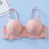 Nueva ropa interior sexy de encaje para mujer de comercio exterior transfronterizo con aro de acero push up ajustable cómoda transpirable sujetador fino