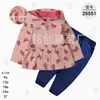 Comercio Exterior Ropa Infantil Primavera y Otoño Conjunto Infantil de Dos Piezas Material Sudadera Sudadera con Capucha Ropa Infantil para Bebés Ropa de Salida [Al por Mayor]