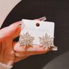 Brincos de Estrela de Cristal, Acessórios de Luxo Acessível de Design Nicho para Outono e Inverno, Brincos Modernos e Versáteis para Mulheres
