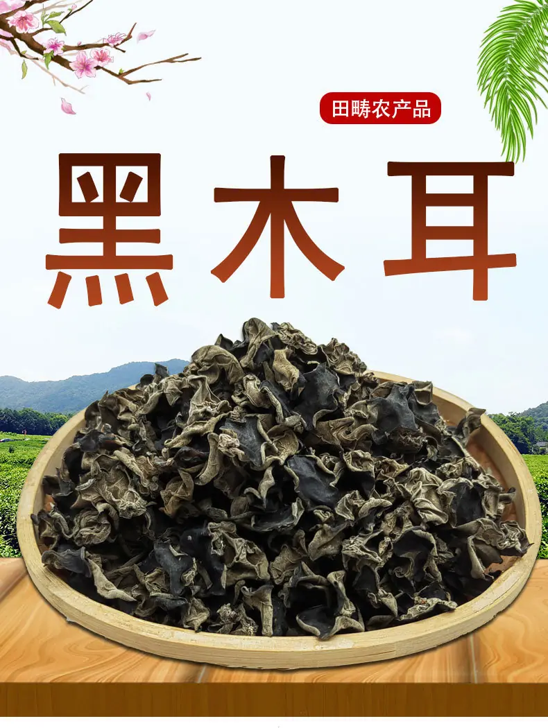黑木耳_01.jpg
