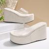 Sandalias Transparentes de Cuña para Mujer para Ropa Exterior 2025 Nuevas Tallas Grandes Pantuflas de Suela Gruesa Europeas y Americanas para Exportación