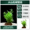 Plantas Acuáticas Locas Roca de Lava Plantación Plantas Verdaderas Plantas de Acuario Paisajismo Baja Luz Planta Ciempiés Crisantemo Verde Plantas Acuáticas para Principiantes Venta al por Mayor