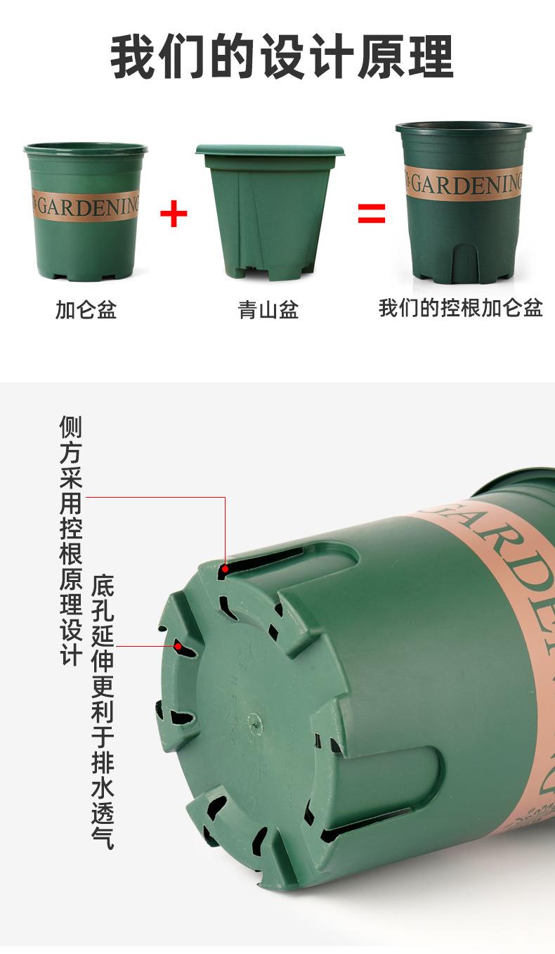 控根加仑盆详情新_02.jpg