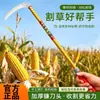 Hoz afilada de acero al manganeso, cuchillo para cortar hierba de acero inoxidable con mango curvo, hoz agrícola de acero integral para tallos de maíz