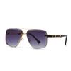 Gafas de Sol Retro Encanto Moderno Gafas Tendencia Disparo Callejero Gafas de Sol Transfronterizas 2499