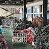 Zapatos de Algodón Personalizados para Mujer, Nuevo Estilo de Invierno, Forrados de Felpa y Engrosados, Botas de Nieve Estilo Pareja, Botas Cortas Cálidas para Caminar al Aire Libre para Mujer
