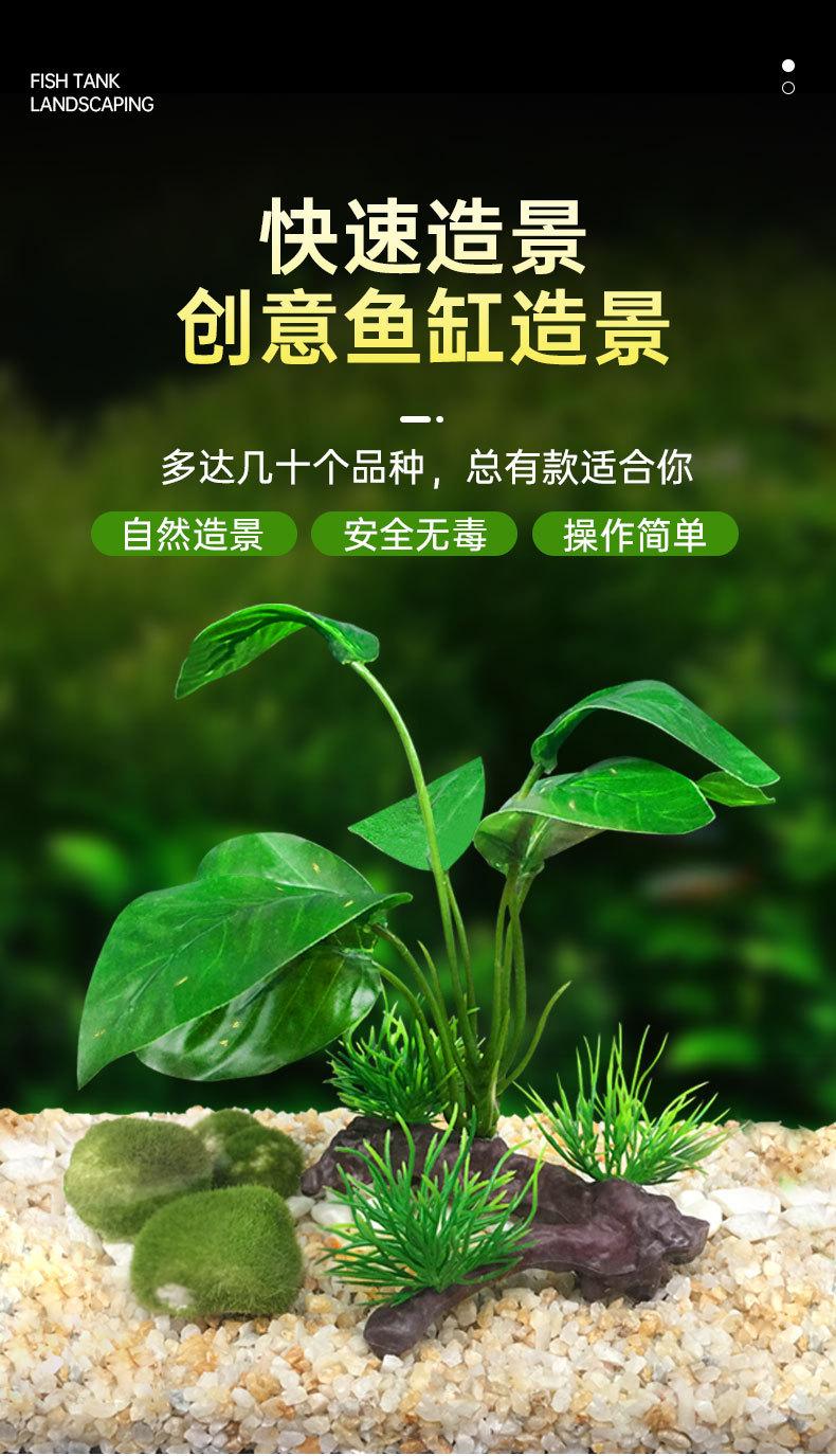 详情_01.jpg