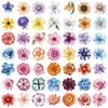 50 Piezas de Pegatinas Transparentes Florales Retro de Rosa y Hibisco para Diario DIY, Guitarra, Taza de Agua, Materiales Decorativos