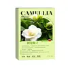 Bolsita de Gardenia Desodorante y Fragante para Armario Bolsita para Coche Fragancia de Cuatro Estaciones para Eliminar Olor Bolsita para Dormitorio Aromaterapia