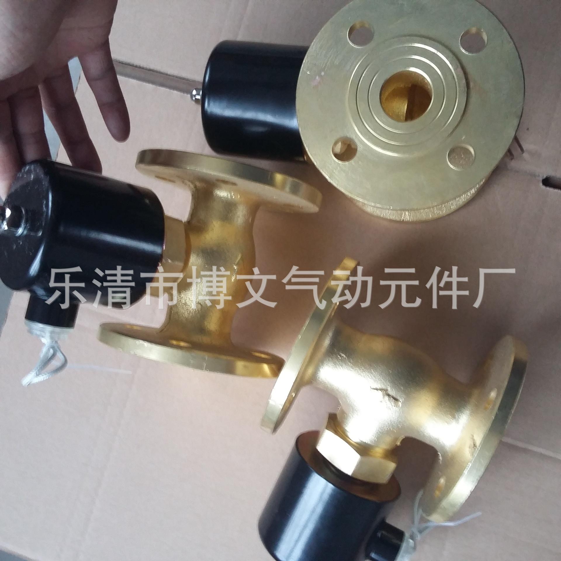法兰铜体蒸汽阀9