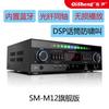 Amplificador de potencia Qi Sheng para el hogar, Bluetooth, fibra coaxial, cine en casa, KTV, karaoke, baile, sala de conferencias, karaoke, canción.