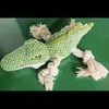 Brinquedos para Cães e Pets Transfronteiriços, Brinquedos para Cães Feitos de Material de Pelúcia, Corda de Algodão, Brinquedos em Formato de Crocodilo para Brincadeiras Interativas com Filhotes