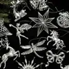 Transfronterizo Nuevo Producto Colgante de Plástico Plateado con Forma Decoración Colgante de Árbol de Navidad Brillante Galvanizado Accesorios Pequeños Adornos de Navidad en Stock