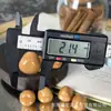 Accesorios de Diente de Ajo Frutal Marfil Envejecido para Manualidades, Pulseras Hechas a Mano DIY, Accesorios de Joyería de Moda T9702